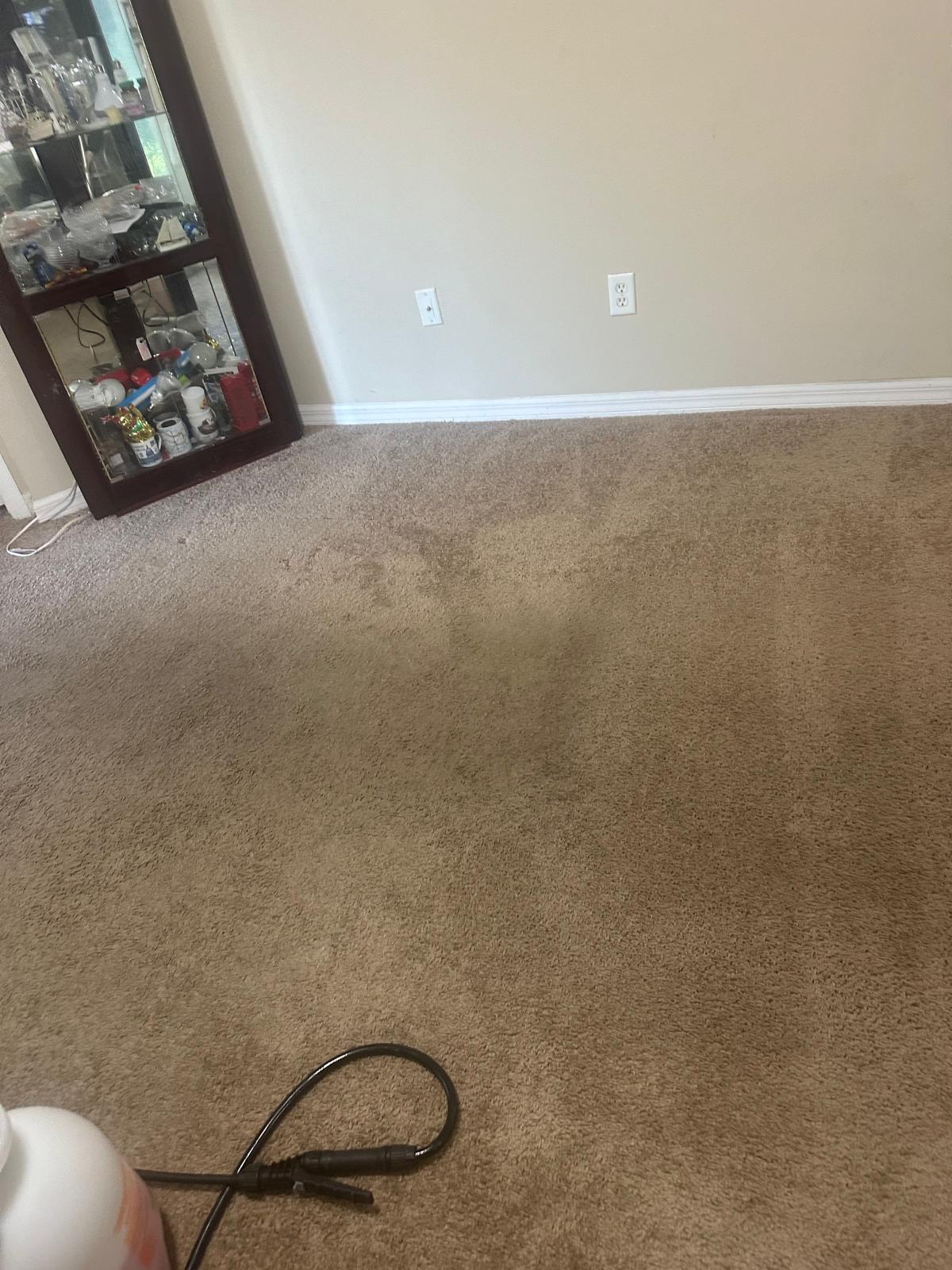 Carpet cleaning