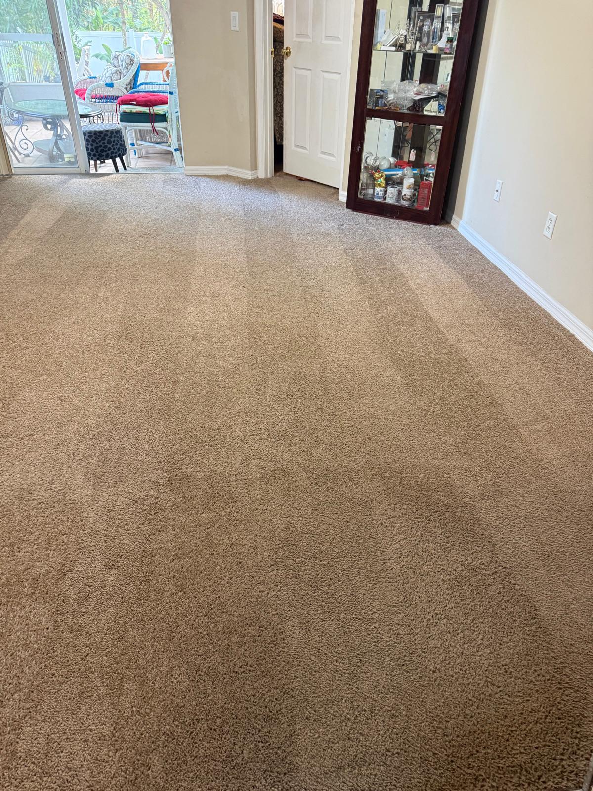 Carpet cleaning