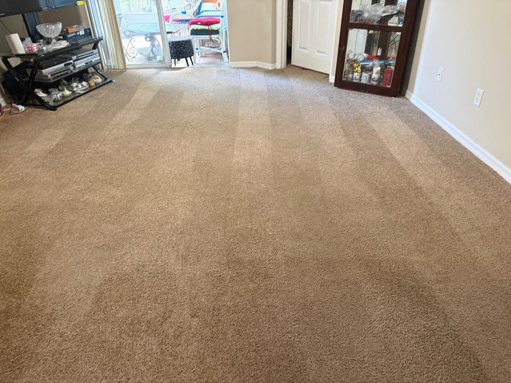 Carpet cleaning